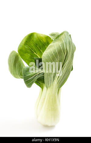 Frisches Grün baby Bok Choy, auf weißem Hintergrund Stockfoto