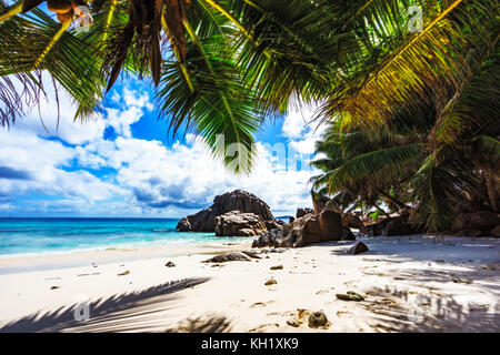 Blick durch Palmen im weißen Sand zu den indischen Ozean am Paradise Beach an der Anse patates, La Digue, Seychellen Stockfoto