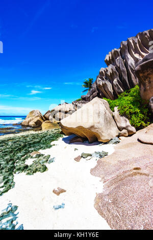 Coral Reef in den weißen Sand und großen Granitfelsen mit Palmen auf es am schönen Strand von Grand Anse, La Digue, Seychellen Stockfoto