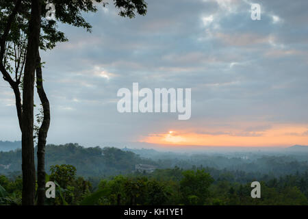 Landschaft aus Wald und Sonnenaufgang am Borobudur Tempel in der Nähe von Hill. Stockfoto