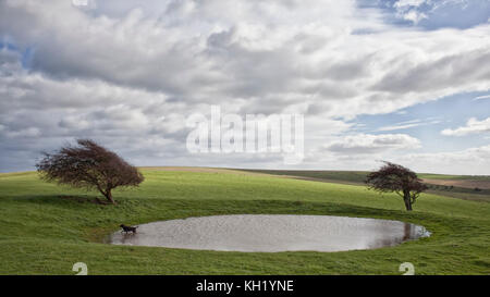 South Downs Way in der Nähe von Ditchling, West Sussex Stockfoto