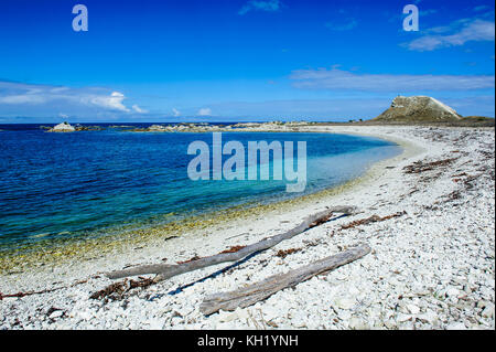 Kalkstein Felsstrand auf dem klaren Wasser von Kaikoura Halbinsel, Südinsel, Neuseeland Stockfoto