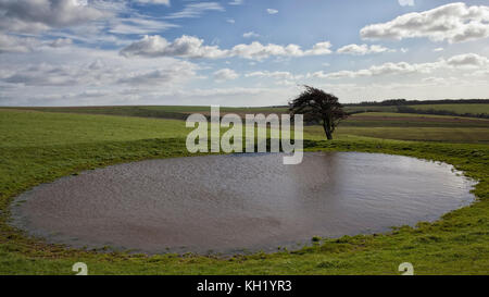 South Down in Ditchling, Sussex Stockfoto