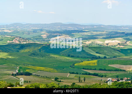 Typische toskanische Landschaft mit Hügeln - Toskana, Italien Stockfoto