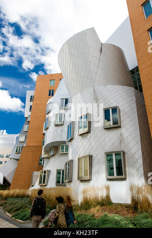 Das Stata Center am Massachusetts Institut für Technologie (MIT), ein Wahrzeichen аcademic Komplex, entworfen vom Architekten Frank Gehry. Stockfoto