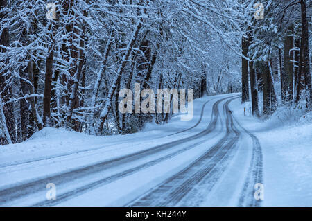 Neuer Schnee bedeckte die Bäume und die Straße nach einem Schneesturm im Frühjahr im Yosemite-Nationalpark, Kalifornien, USA. Stockfoto