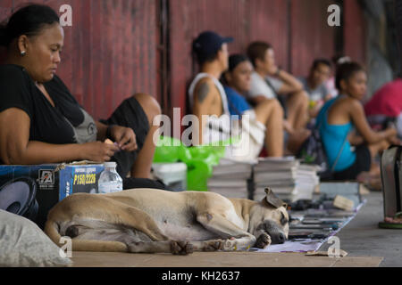 Ein Hund schläft wie philippinische Frau waren auf einem Bürgersteig, der Innenstadt von Cebu City, Philippinen Stockfoto