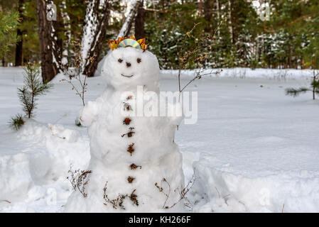 Süße Schneemann mit Herbstlaub, Tasten und Augen von getrockneten Blumen im Wald Stockfoto