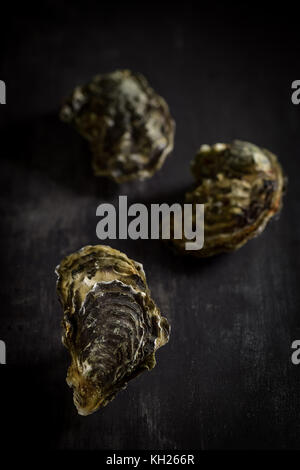 Rohe Austern auf der Graphit board, Frankreich Stockfoto