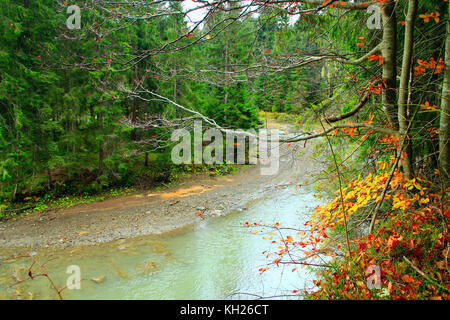 Mountain River fließt im Wald in den Karpaten. Stockfoto