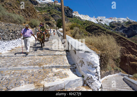 Touristen auf Eseln reiten hinunter zum alten Hafen von Thira, Santorini, Kykladen, Griechenland, Mittelmeer, Europa Stockfoto