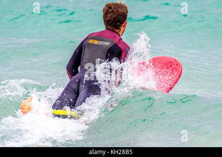 Ein Surfer in das Wasser am Bondi Beach, Sydney, NSW, Australien Stockfoto