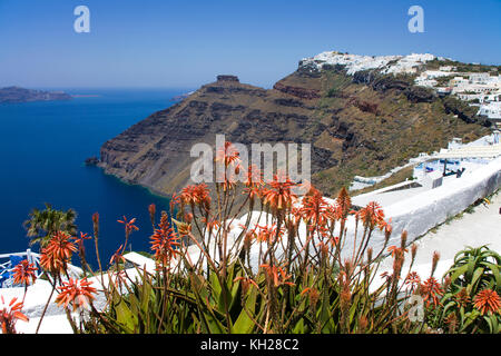 Blick vom Kraterrand Pfad an Firofestani auf die Caldera und das Dorf Imerovigli mit scaros Rock, Santorini, Kykladen, Griechenland, Mittelmeer S Stockfoto