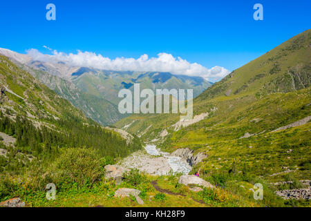 Tal mit Fluss und Wald in Ala archa Nationalpark, Kirgisistan Stockfoto