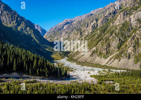 Tal mit Fluss und Wald in Ala archa Nationalpark, Kirgisistan Stockfoto