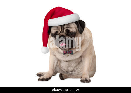 Lustige grumpy konfrontiert Mops Welpen Hund mit rote Weihnachtsmütze für Weihnachten im Sitzen, auf weißem Hintergrund Stockfoto