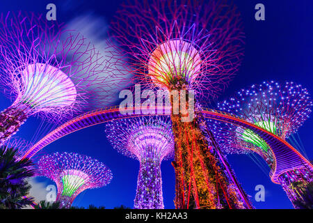 Singapore City, Singapur - Januar 8, 2016 Supertree Grove an der Gradens durch die Bucht. Stockfoto