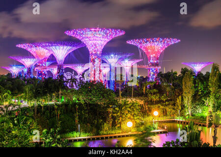 Singapore City, Singapur - Januar 8, 2016 supertree Grove an der gradens durch die Bucht. Stockfoto