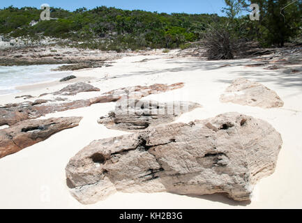 Die felsige Landschaft auf Half Moon Cay unbewohnte Insel Strand (Bahamas). Stockfoto