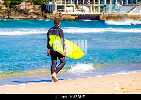 Ein Surfer in das Wasser am Bondi Beach, Sydney, NSW, Australien Stockfoto