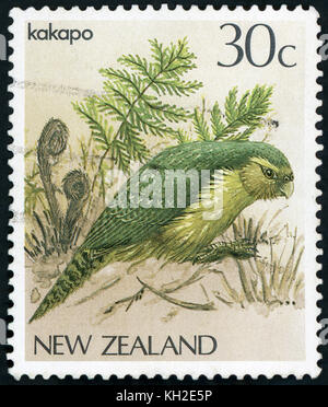 Neuseeland - CIRCA 1986: Eine Briefmarke gedruckt in Neuseeland, zeigt einen Vogel Kakapo (Strigops Habroptilus), ca. 1986 Stockfoto