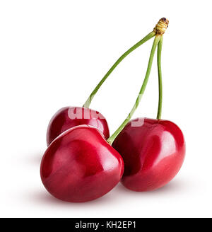 Sweet Cherry Berry, drei auf einem Zweig auf weißem Hintergrund. Freistellungspfad Stockfoto