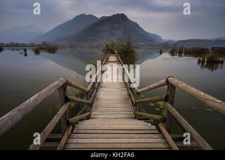 Catwalk in Torbiere del Sebino Naturpark, Italien Stockfoto