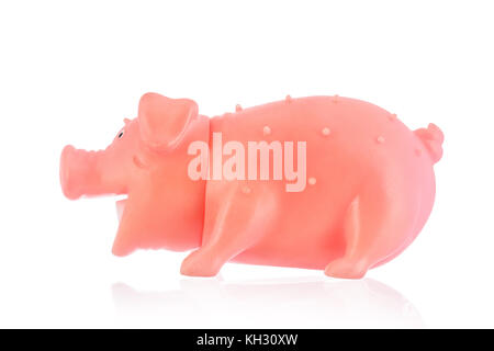 Gummi Schwein Spielzeug für Hunde auf Weiß Stockfoto