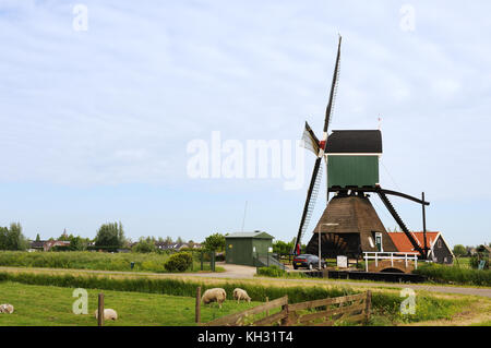 Windmühle in Holland Noordeloos Stockfoto