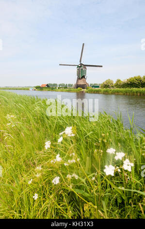 Holländische Windmühle in typischen Hollands Landschaft in der Nähe des Flusses Stockfoto