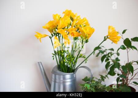 Gelbe freesien Blumen und Efeu in einer Vase. home design Stockfoto