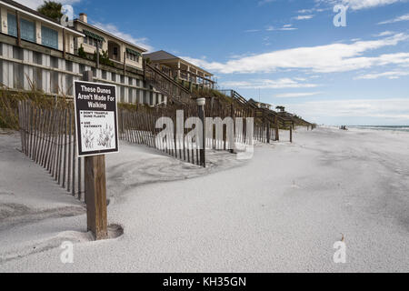 Geschützten Sanddünen entlang der Strände Golf County, Florida, USA Stockfoto