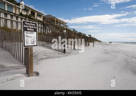 Geschützten Sanddünen entlang der Strände Golf County, Florida, USA Stockfoto