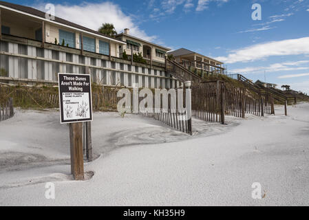 Geschützten Sanddünen entlang der Strände Golf County, Florida, USA Stockfoto