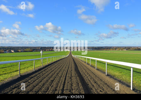 "Galoppiert in die Newmarket Heath, Suffolk Stockfoto