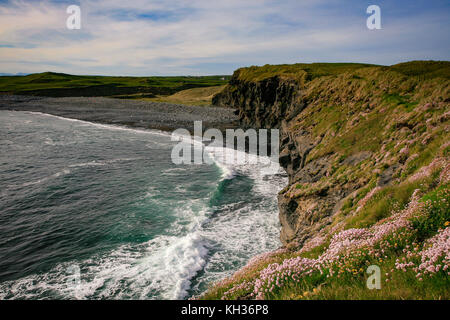 Klippen entlang der Doolin Cliff Walk Testversion sitzen unten Doonagore Castle, doonnagore, Doolin, Co. Clare Stockfoto