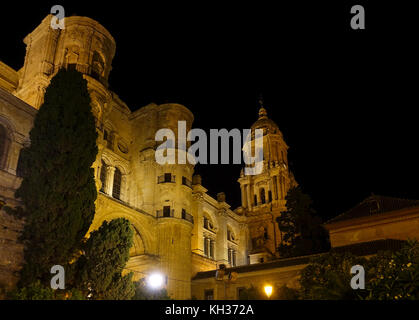 Kathedrale von Málaga Glockenturm, Santa Iglesia Catedral Basílica de la Encarnación, in der Nacht, Malaga, Andalusien, Spanien. Stockfoto