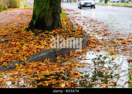 Nasser City Road mit Herbstlaub bedeckt Stockfoto