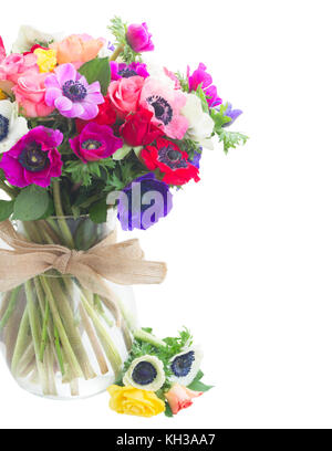 Frisches Bündel von Anemonen und Rosen Blumen bouqet in Glasvase schließen bis auf weißem Hintergrund Stockfoto