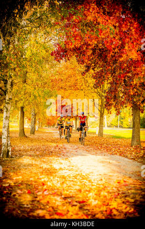 Radfahrer auf dem Murray in die Berge Rail Trail Reiten durch die herrlichen Farben des Herbstes in der Victoria alpinen Tälern in der Nähe von Bright Stockfoto