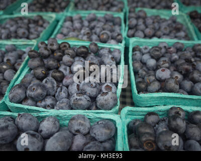 Körbe mit Blaubeeren an der Farmers Market Stockfoto