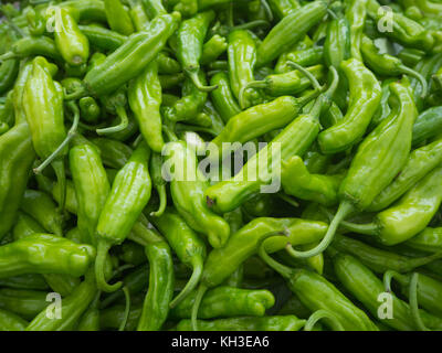 Shishito Paprika bei der bauernmarkt Stockfoto