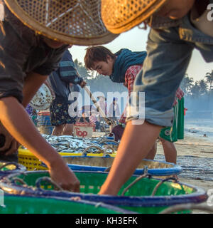 Menschen sortieren die Nächte fangen am Strand bei Sonnenaufgang, in der Nähe des Fischerdorf am Ngapali Beach in Myanmar (Burma). Stockfoto