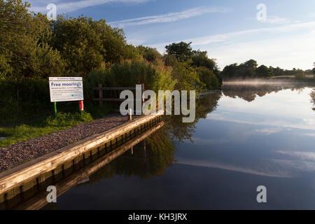 Cockshoot Deich Moorings, in der nähe von Horning, auf dem Fluss Bure. Diese sind broadland Behörde freie Liegeplätze für Boote auf den Norfolk Broads Stockfoto