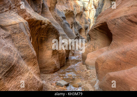 Bunt gestreifte Wände die in Willis Creek Canyon im Grand Staircase verengt - Escalante National Monument in der Nähe von Cannonville, Utah. Stockfoto