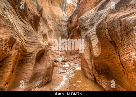 Bunt gestreifte Wände die in Willis Creek Canyon im Grand Staircase verengt - Escalante National Monument in der Nähe von Cannonville, Utah. Stockfoto