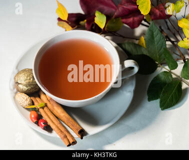 Eleganz Tasse Tee oder Kaffee mit farbigen Blättern plims und Muttern - zarte coposition Stockfoto