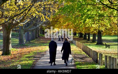 Zwei Frauen gehen ein Hund durch einen Herbst Szene in Wollaton Park Nottingham England Großbritannien Stockfoto