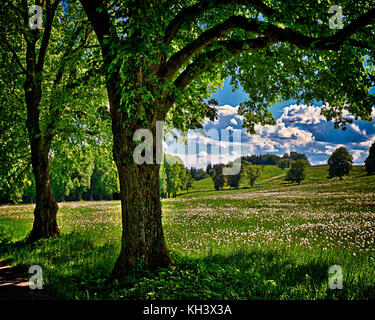 De - Bayern: der Sommer in der Nähe von herrsching Stockfoto