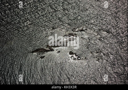 Seehunde - SCHWEDEN - Westküste, Tiefen, Wind, Blasen, Wellen, Strom, U-Boot, Vielfalt Stockfoto